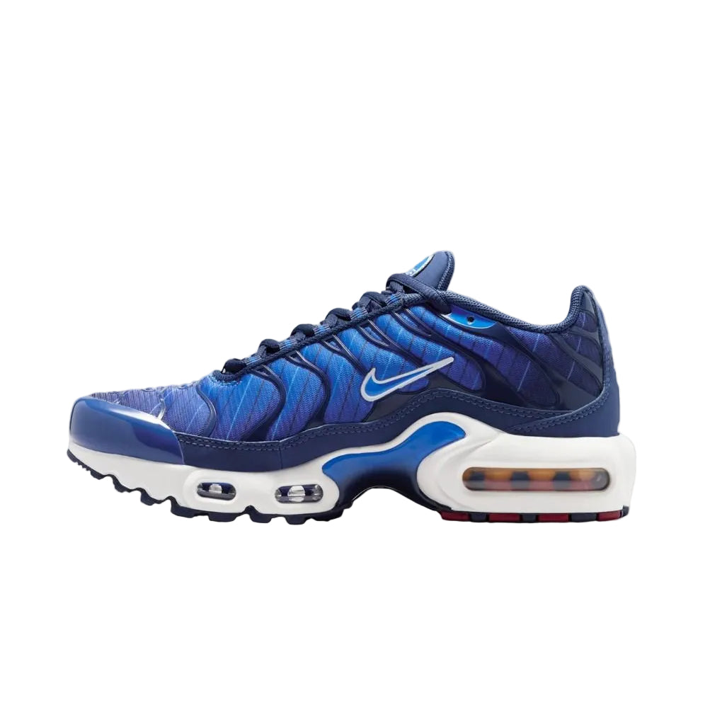 Nike Air Max Plus SE GS 'Lyon Blue'