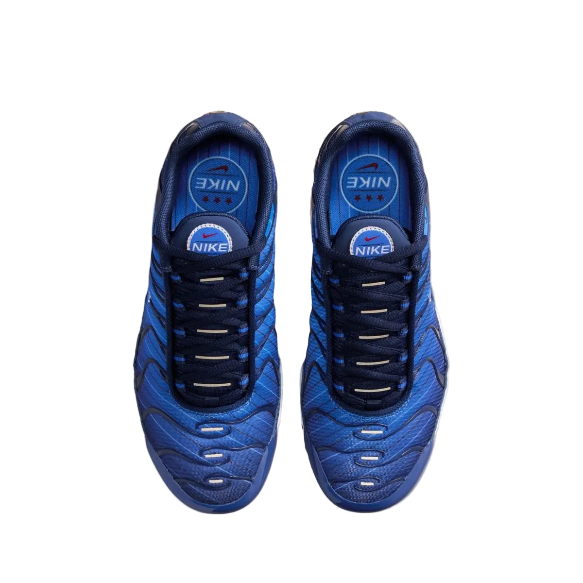 Nike Air Max Plus SE GS 'Lyon Blue'