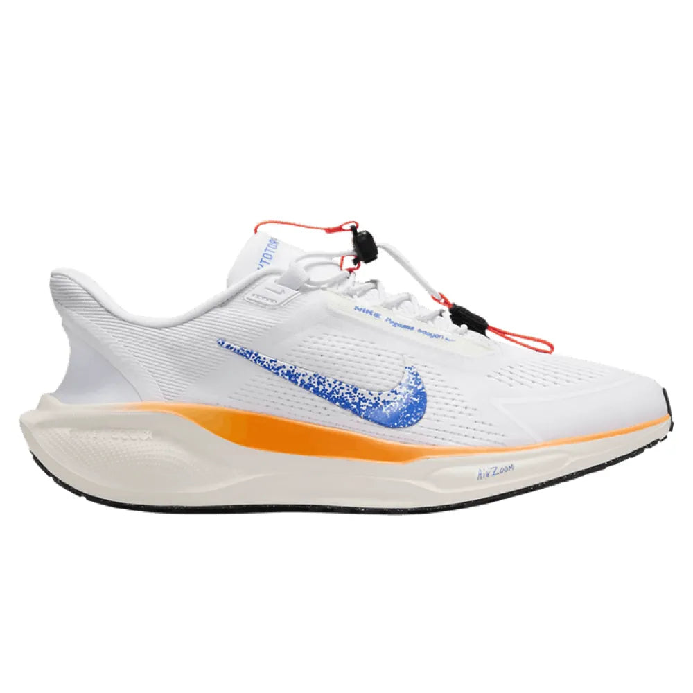 Nike Air Zoom Pegasus 41 EasyOn 'Blueprint'